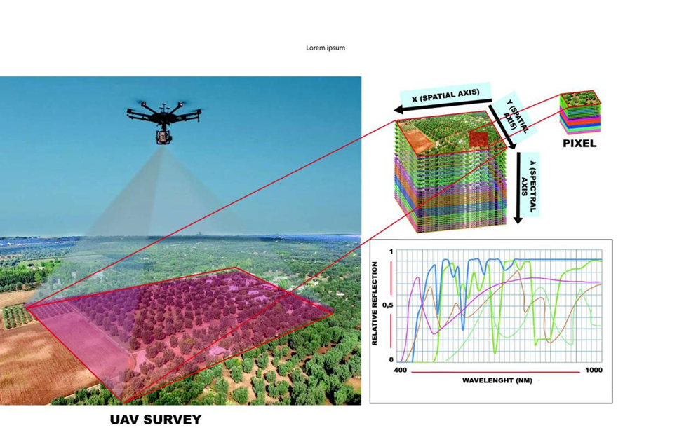 Алгоритмы глубокого обучения для анализа больших данных