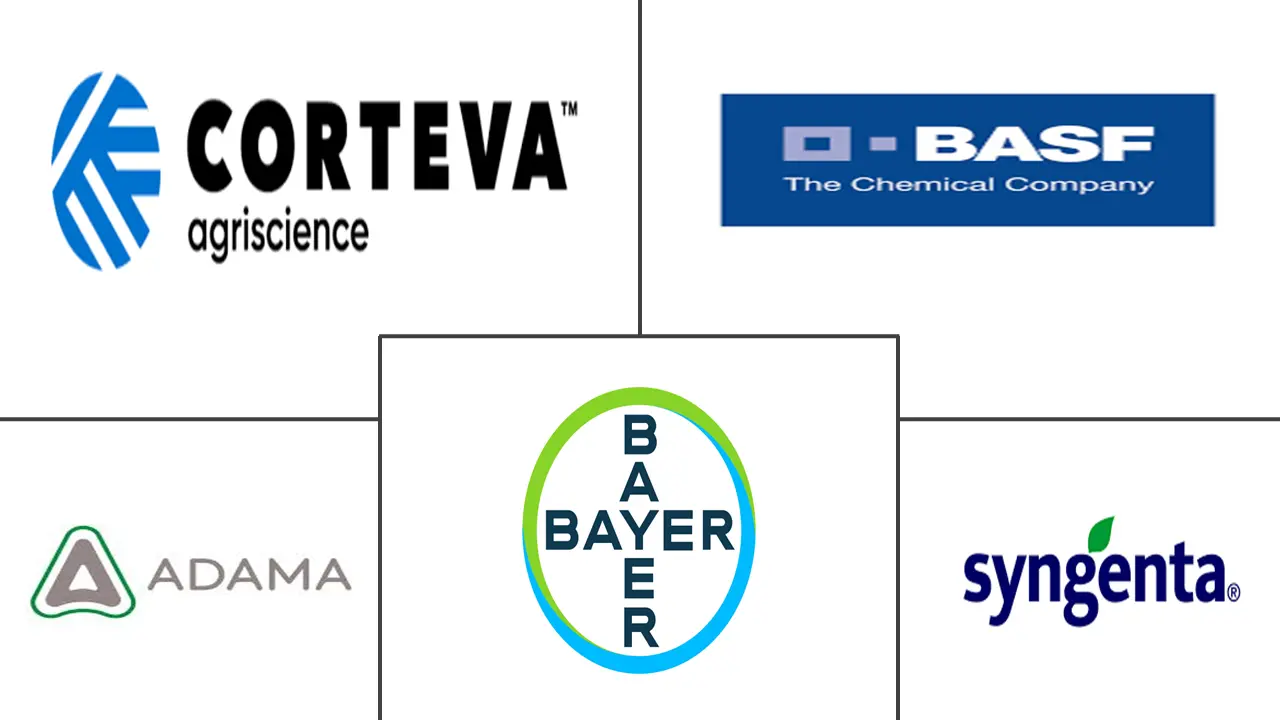 Анализ ключевых игроков на мировом рынке цветов