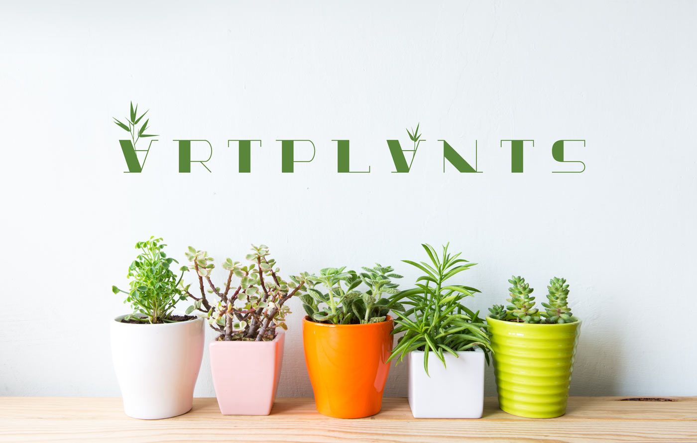 Брендинг цветочного магазина: работа с целевой аудиторией и позиционирование