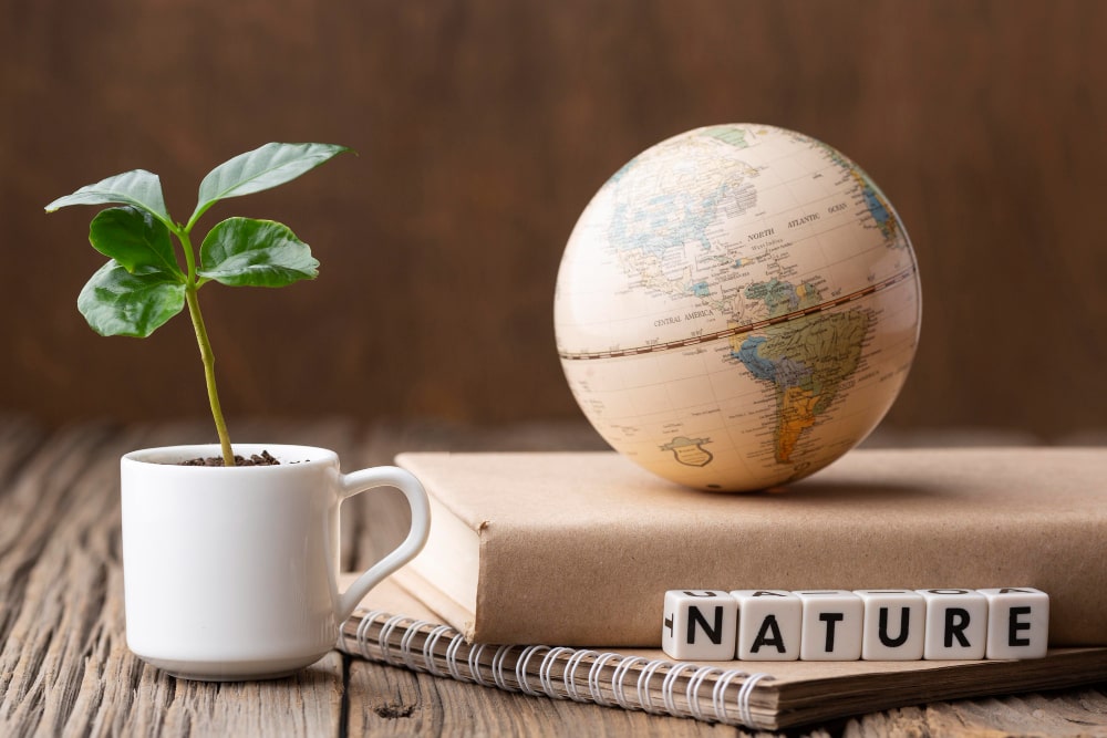 Экологическая устойчивость в цветоводстве: внедрение принципов устойчивого развития и управление изменениями