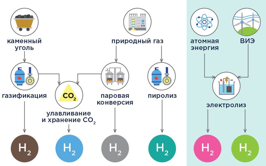 Экспорт цветов: ключевые аспекты и стратегии