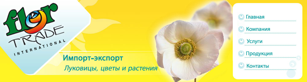 Экспорт цветов: стратегия для начинающих