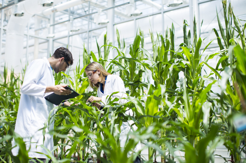 Энергоэффективность в цветочных теплицах: внедрение инновационных технологий 3 Энергоэффективность в цветочных теплицах: внедрение инновационных технологий