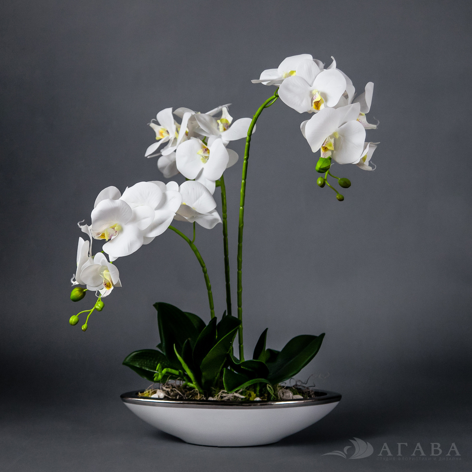 Искусственный интеллект и дизайн цветочных композиций 10 Искусственный интеллект и дизайн цветочных композиций