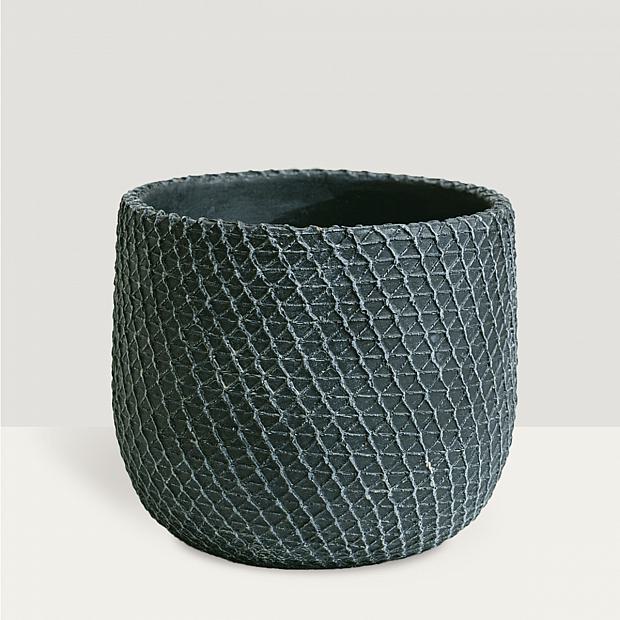 Как защитить цветы от повреждений во время транспортировки 6 Как защитить цветы от повреждений во время транспортировки