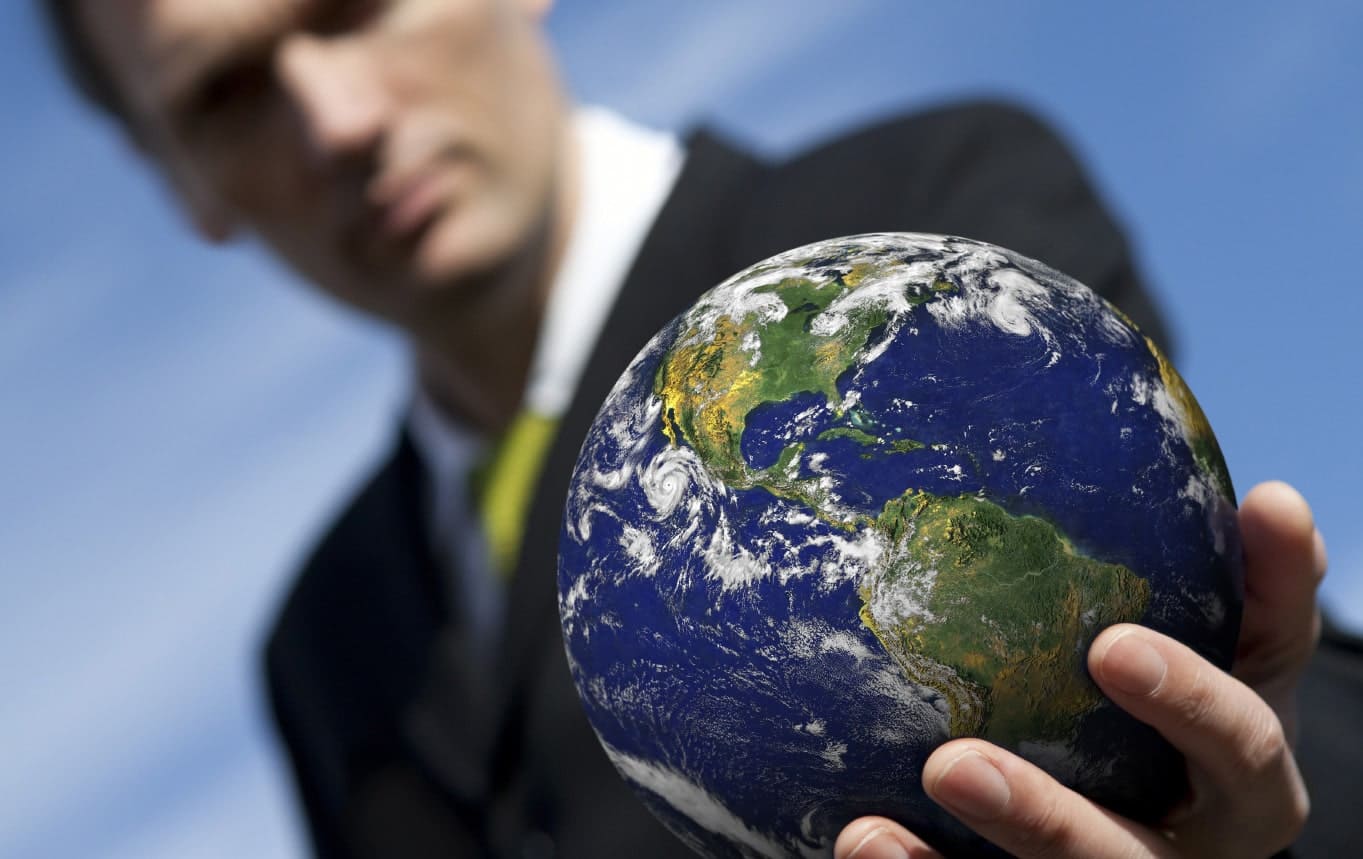 Компенсация углеродного следа: инструменты и стратегии для цветочных компаний