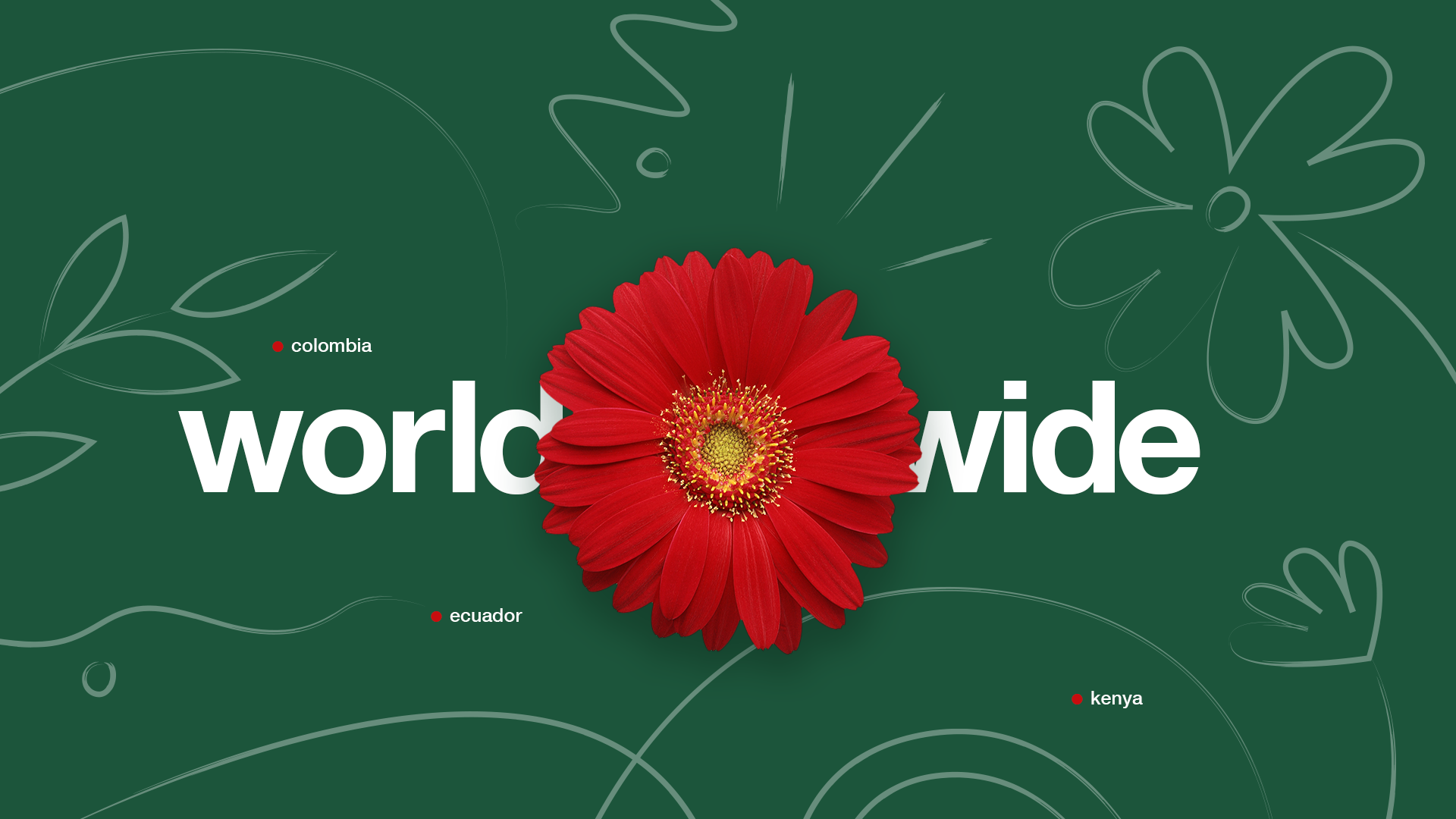 Логистика экспорта цветов: обеспечение свежести и сохранности