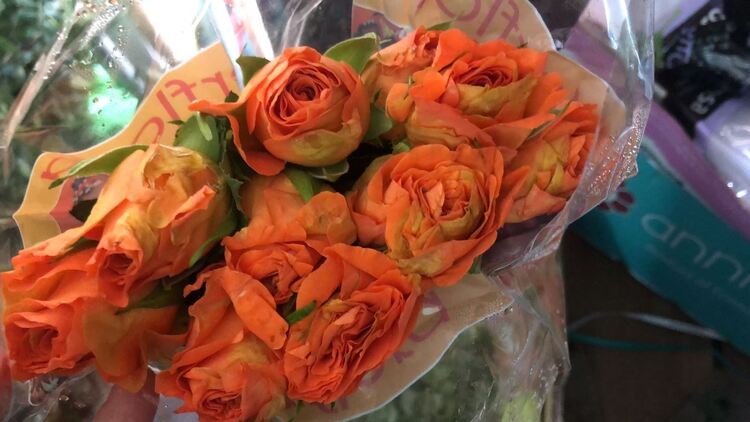 Логистика и доставка цветов на международном уровне