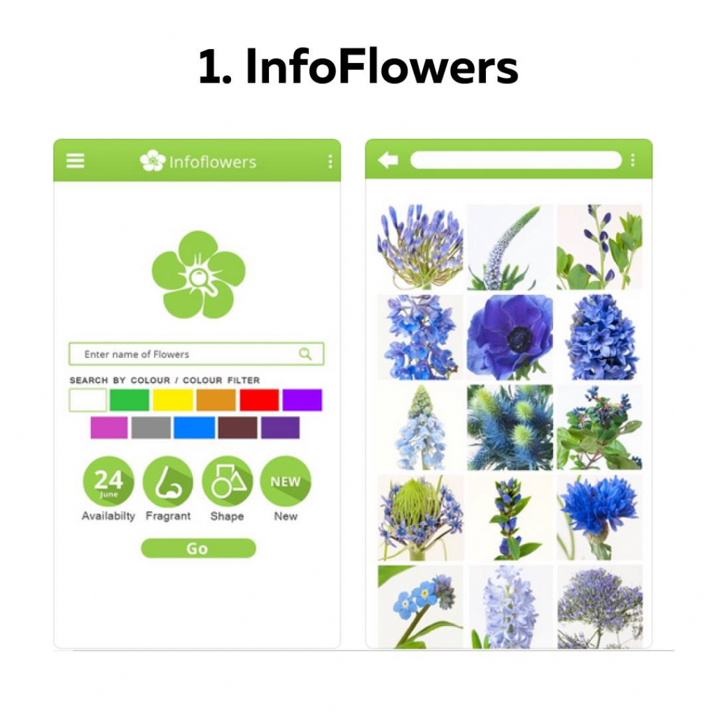 Мотивационные программы для повышения производительности труда флористов