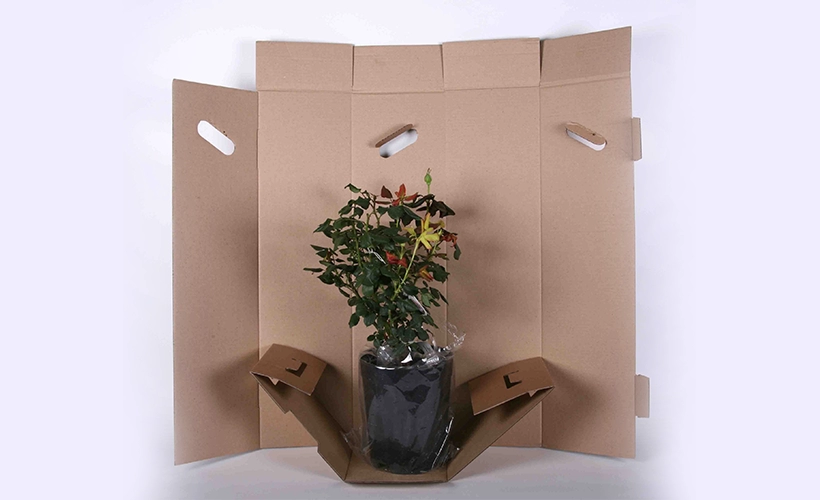 Оптимизация логистических цепочек для доставки свежих цветов