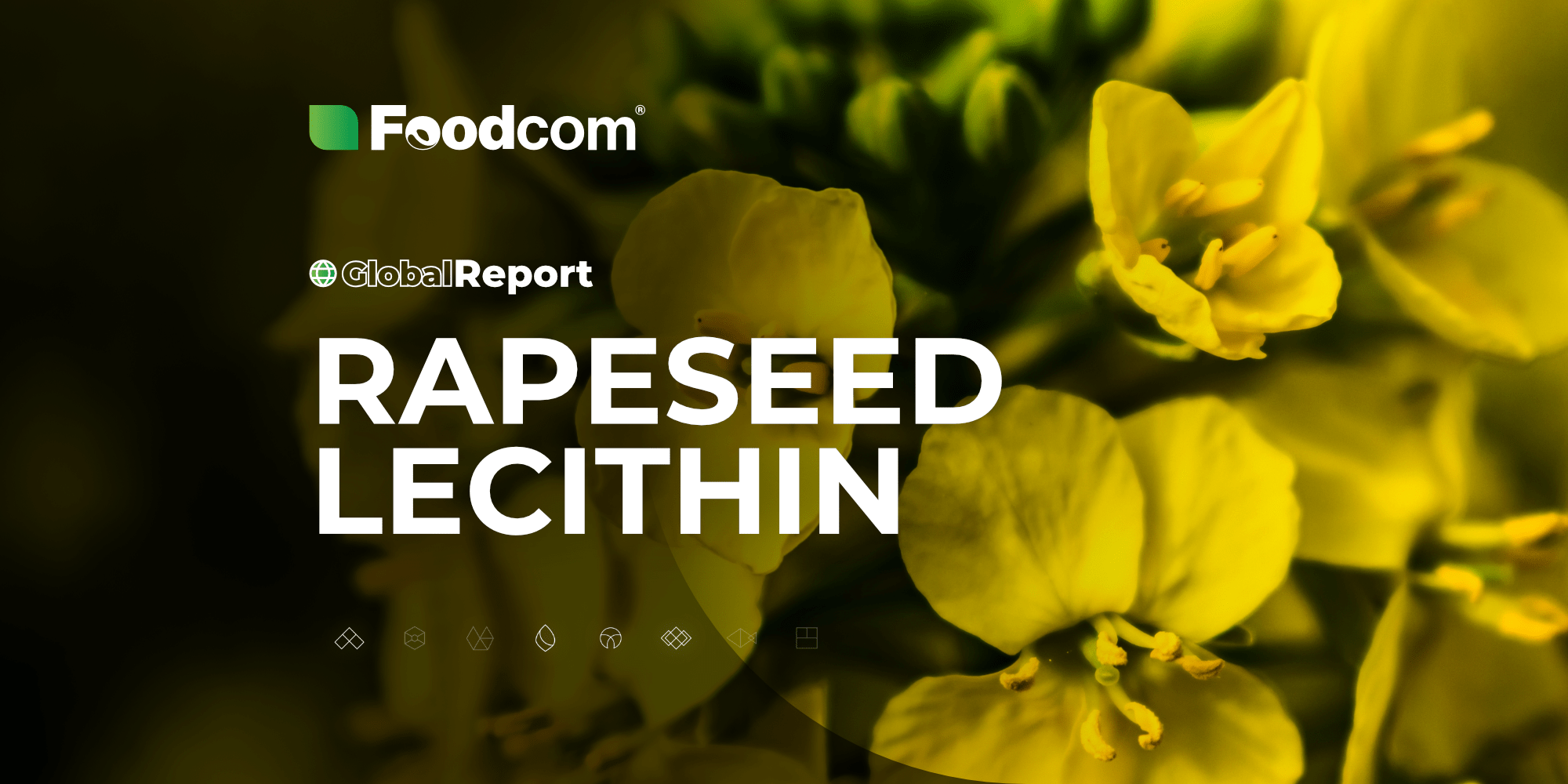 Перспективы развития рынка цветов в странах Азии 8 Перспективы развития рынка цветов в странах Азии