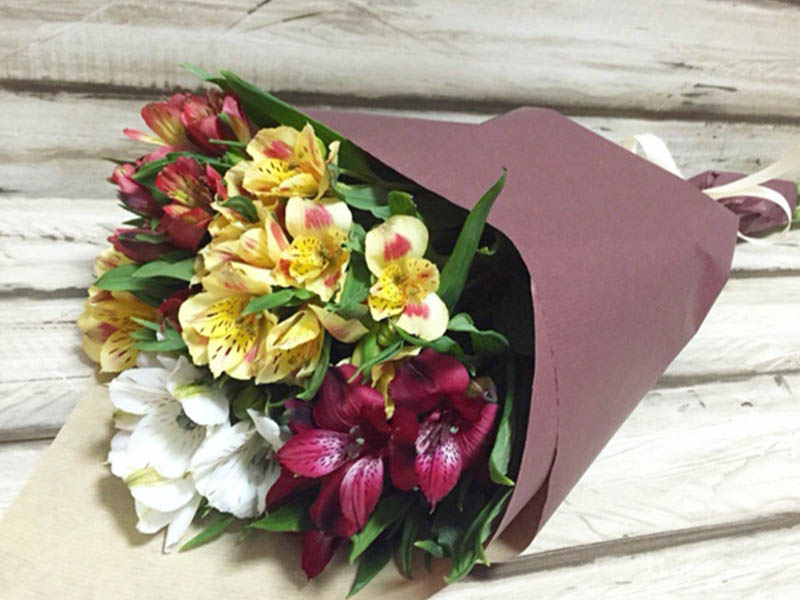 Предсказание погодных условий и его влияние на продажи цветов 7 Предсказание погодных условий и его влияние на продажи цветов