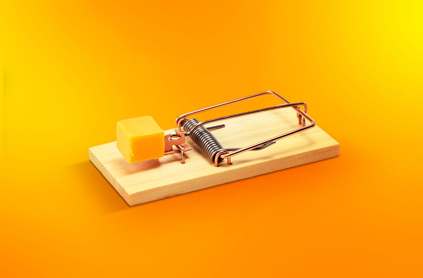 Применение современных технологий шифрования для защиты данных клиентов онлайн-магазина флористики