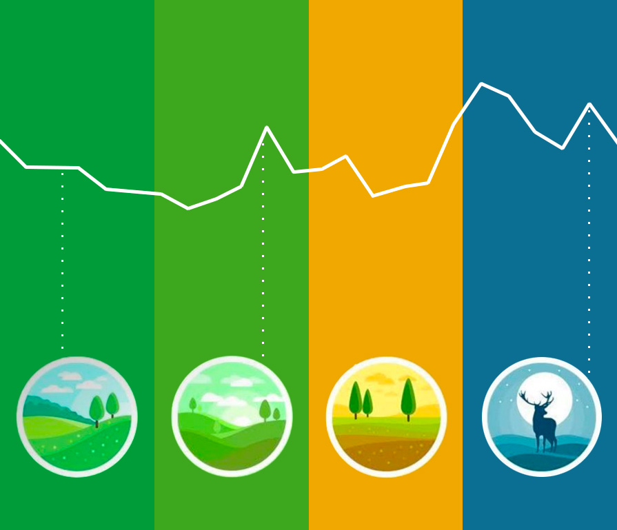 Разработка эффективной ценовой стратегии с учётом сезонности спроса 8 Разработка эффективной ценовой стратегии с учётом сезонности спроса