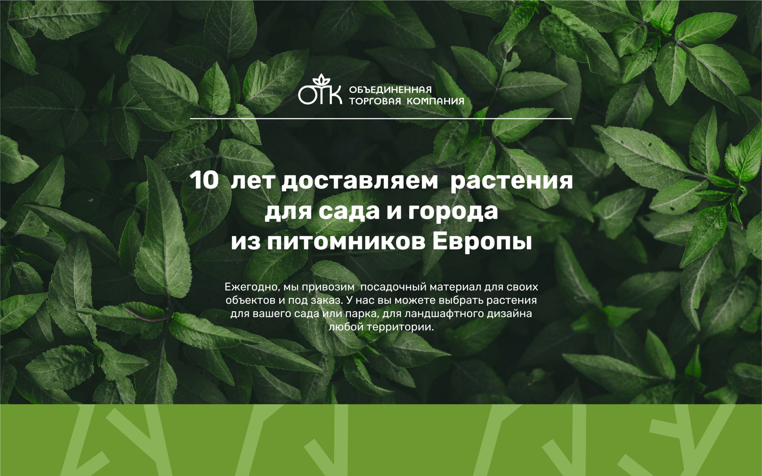 Разработка стратегий обеспечения свежести цветов в условиях розничной торговли