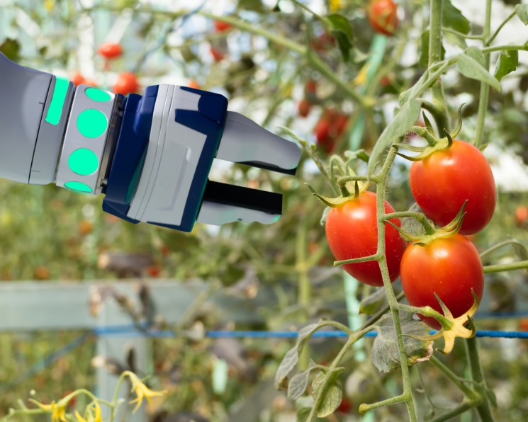 Роботизированные системы для ухода за срезанными цветами