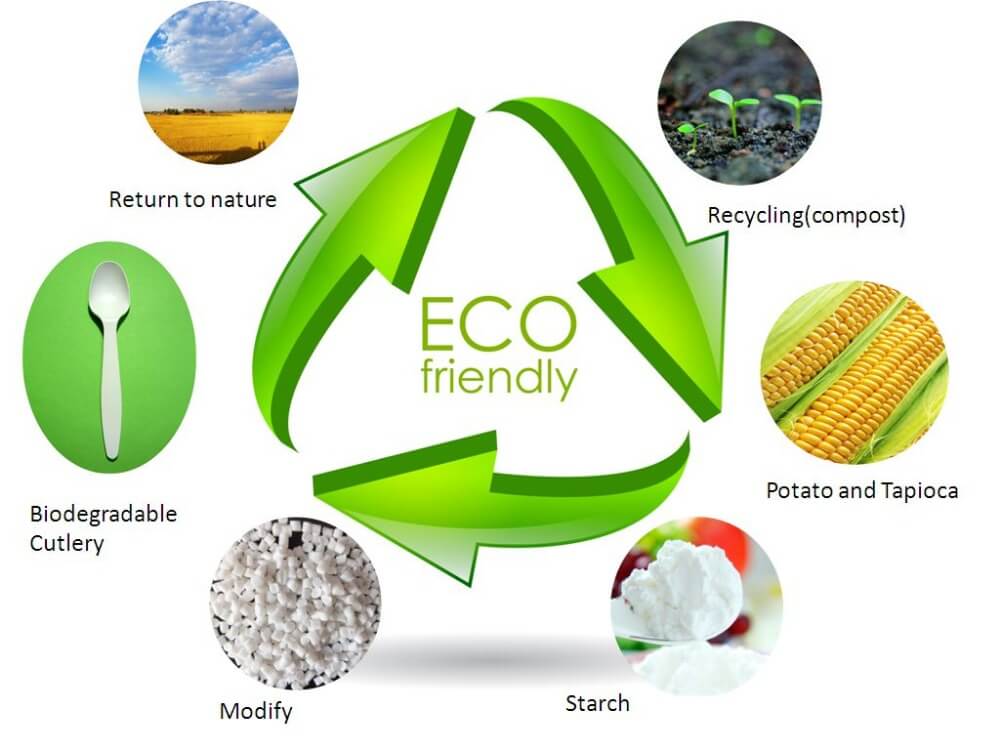 Сравнительный анализ экологичности различных материалов для упаковки цветов