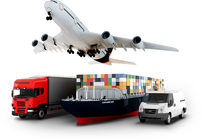 Таможенное оформление импортных цветов: пошаговая инструкция