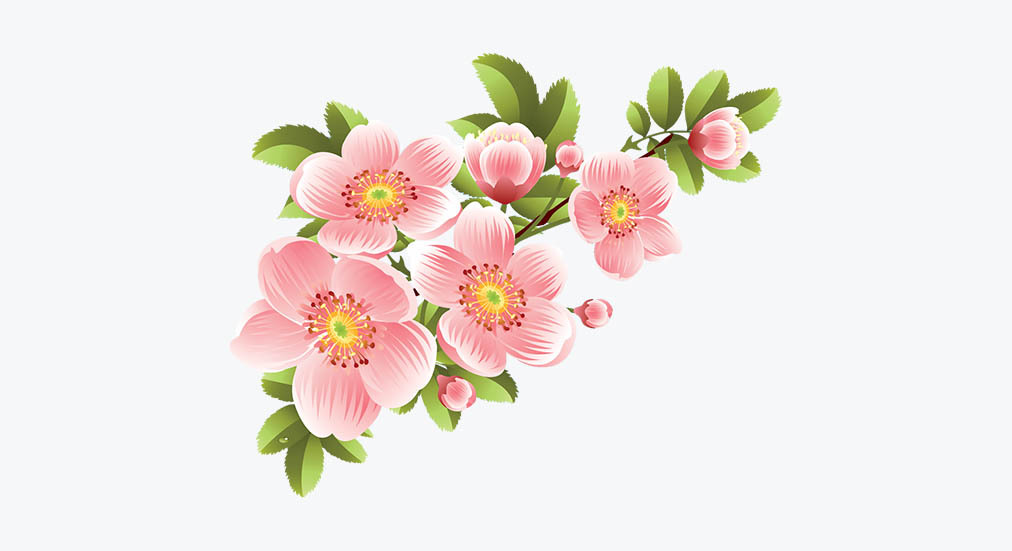 Технологии для обеспечения качества цветов: от поля до покупателя 11 Технологии для обеспечения качества цветов: от поля до покупателя