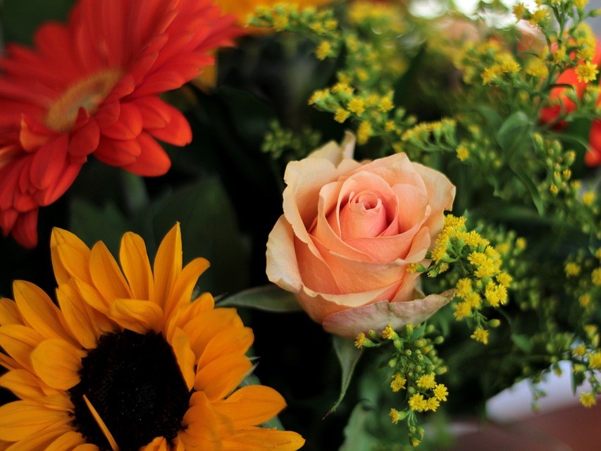 Тенденции и прогнозы в мировой торговле цветами