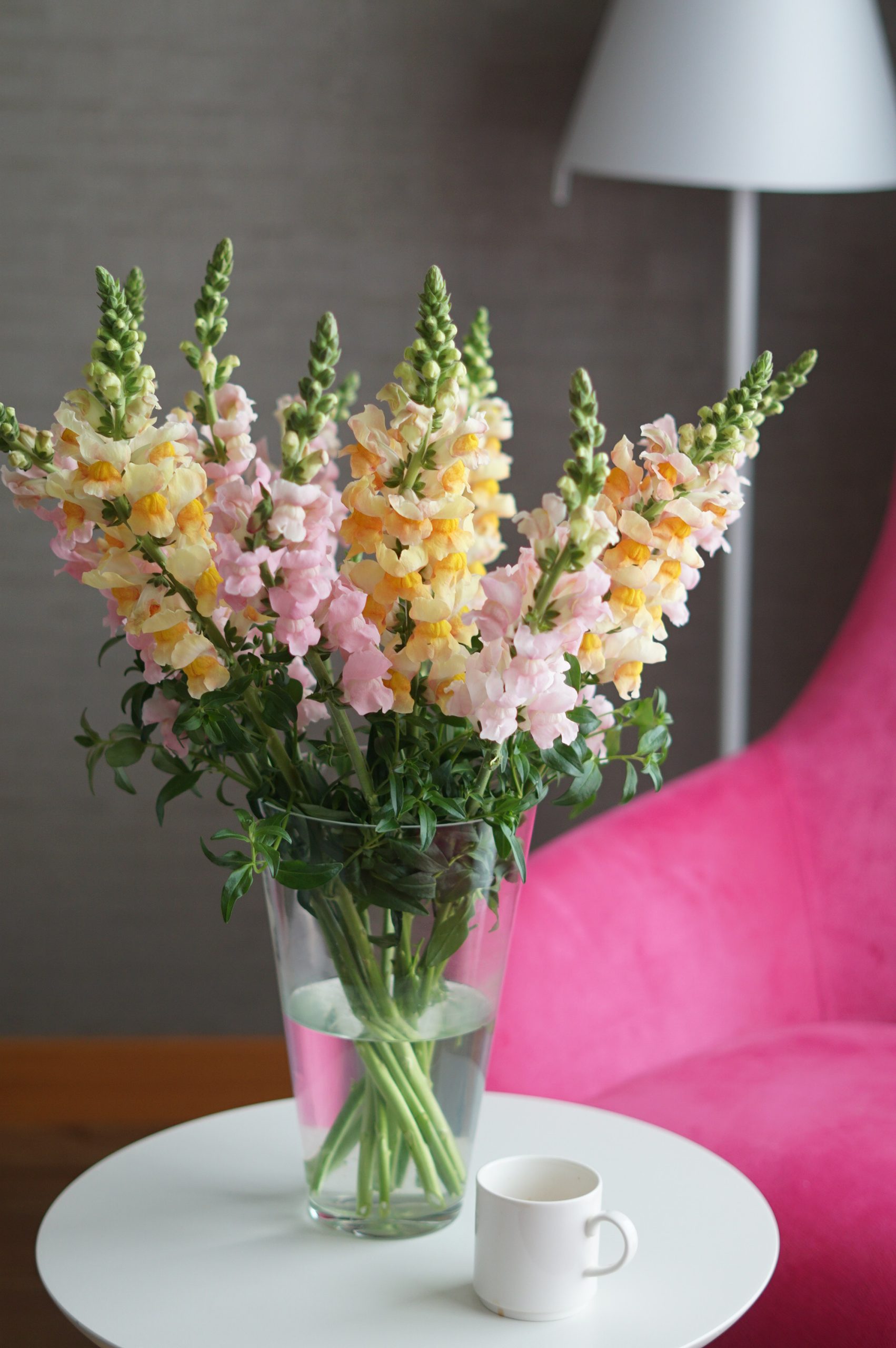 Цветочные подписки: удобство и регулярность