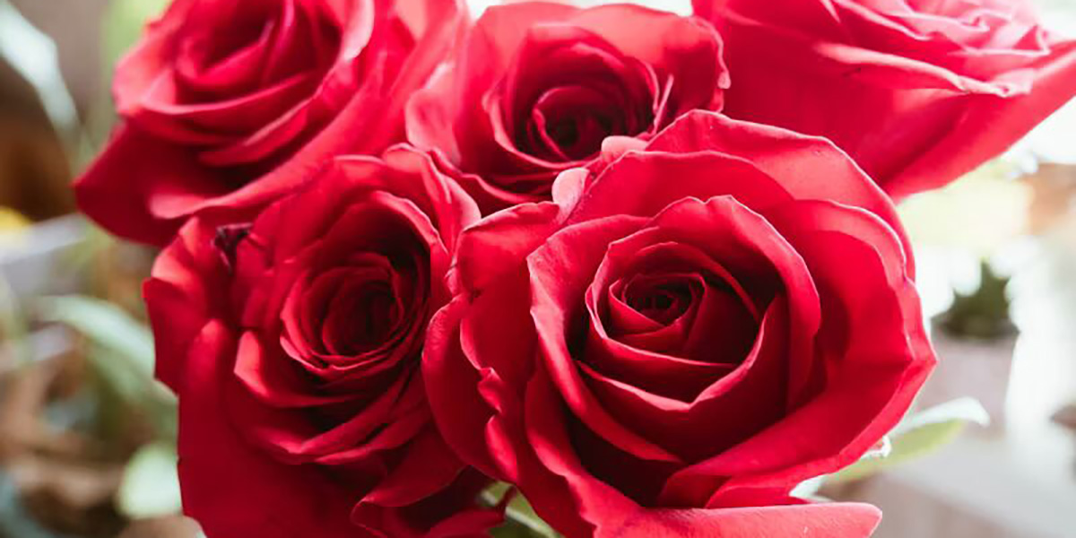 Цветы и события: анализ покупок к праздникам и торжествам 3 Цветы и события: анализ покупок к праздникам и торжествам