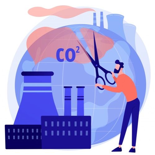 Углеродный след цветочной индустрии: минимизация негативного воздействия 2 Углеродный след цветочной индустрии: минимизация негативного воздействия