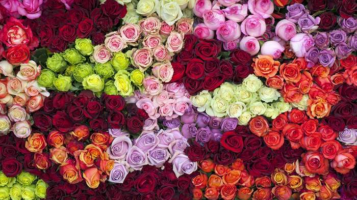 Управление денежными потоками в условиях сезонности цветочного бизнеса