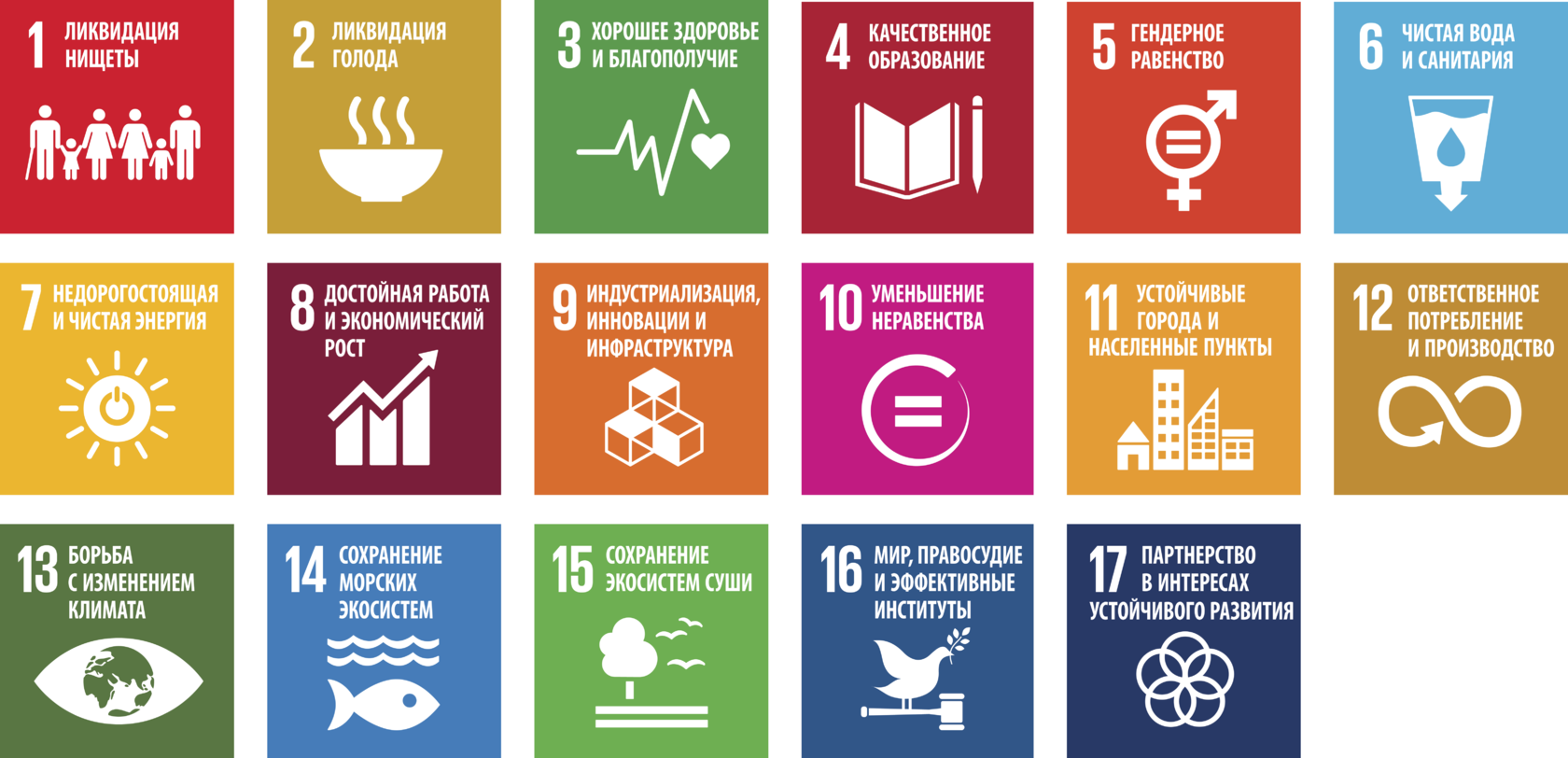 Устойчивое развитие и инновационные технологии в цветоводстве и экспорте