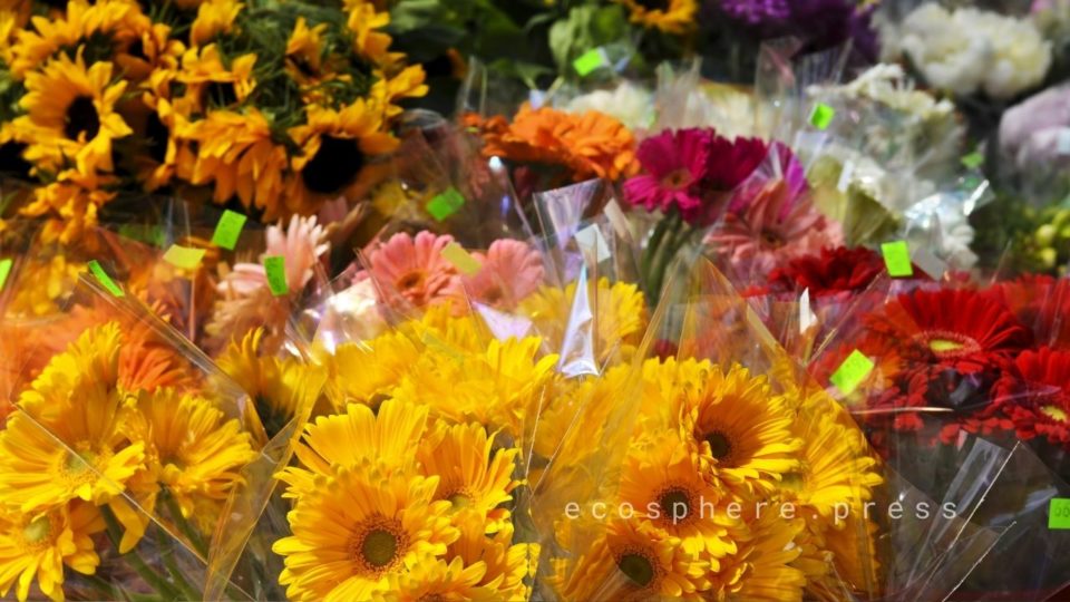 Влияние сезонности на международный спрос на срезанные цветы
