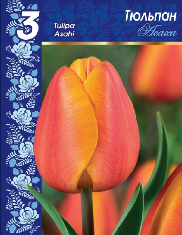 Выбор надежных поставщиков цветов для импорта