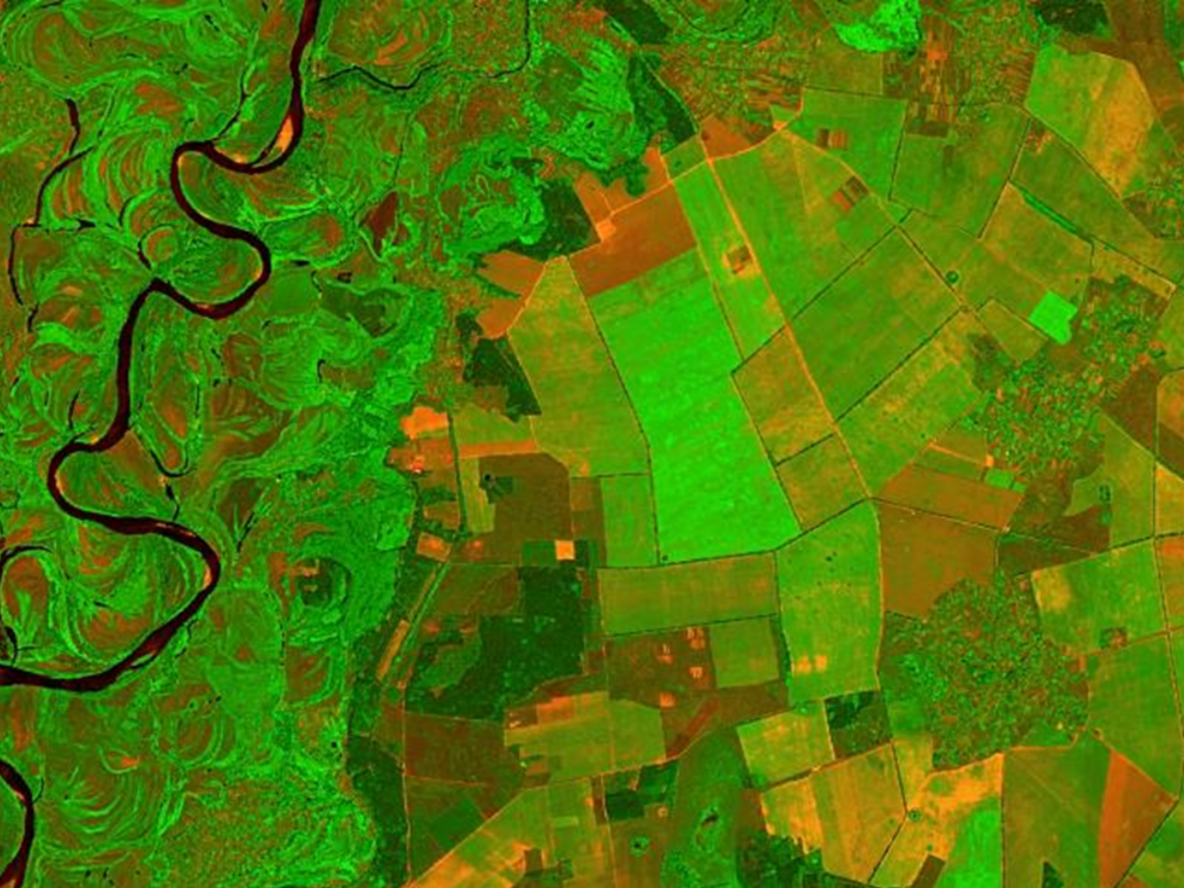 Защита от потери урожая: страховые решения для производителей цветов